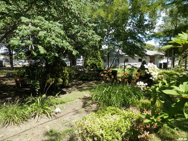 310 E Broadway St, Monmouth, IL 61462 - photo 13