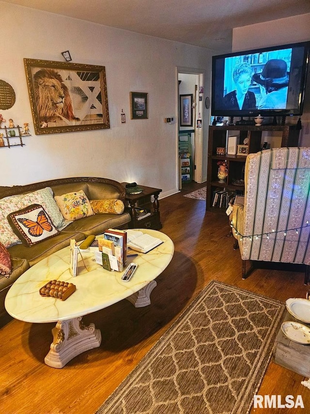 707 E Clark St, Litchfield, IL 62056 - living room featuring wood finished floors