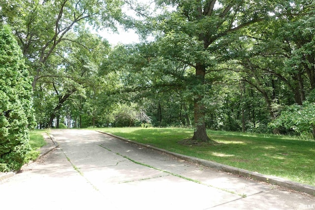 604 Knox Rd N Unit 1000, Gilson, IL 61436 - view of road featuring curbs and a view of trees