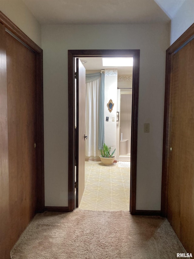 604 Knox Rd N Unit 1000, Gilson, IL 61436 - corridor featuring baseboards and light carpet