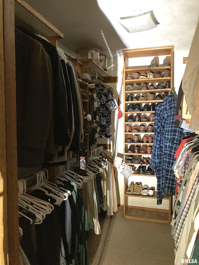 604 Knox Rd N Unit 1000, Gilson, IL 61436 - walk in closet featuring carpet flooring