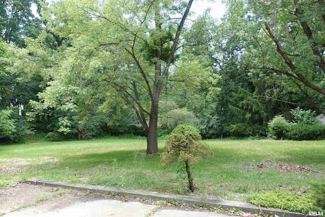 604 Knox Rd N Unit 1000, Gilson, IL 61436 - view of yard featuring a wooded view