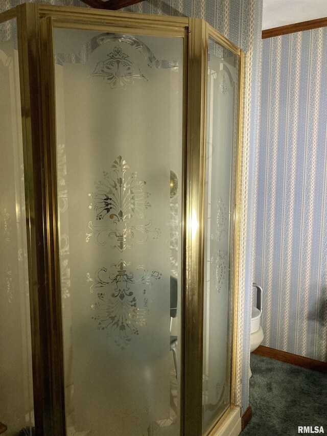 604 Knox Rd N Unit 1000, Gilson, IL 61436 - bathroom featuring wallpapered walls and a shower stall