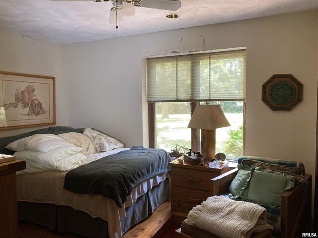 604 Knox Rd N Unit 1000, Gilson, IL 61436 - bedroom with multiple windows, ceiling fan, and wood finished floors