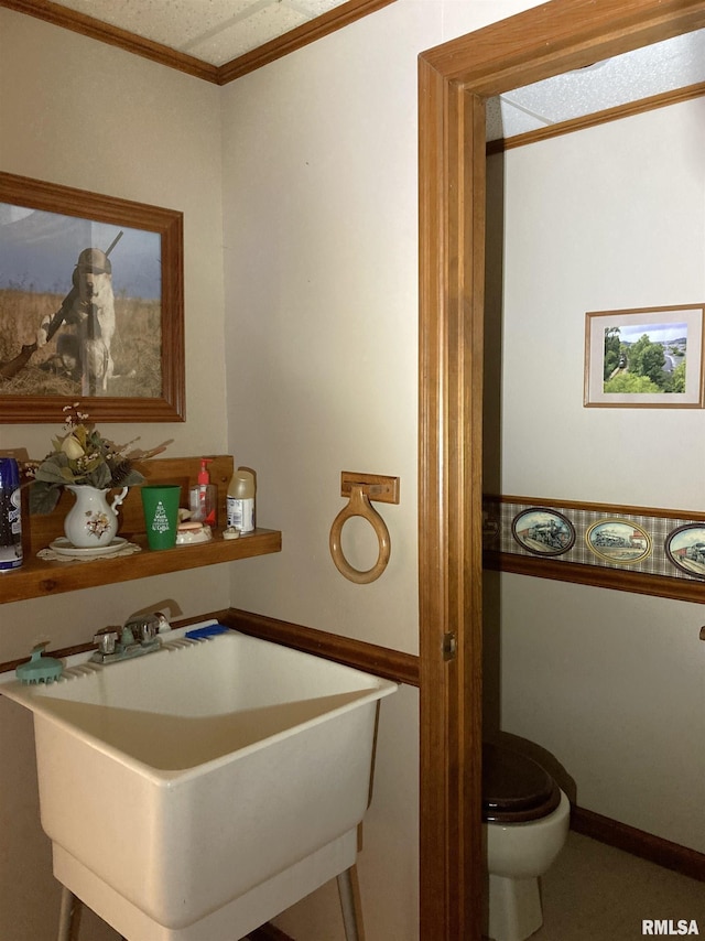 604 Knox Rd N Unit 1000, Gilson, IL 61436 - bathroom featuring a sink and crown molding