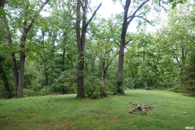 604 Knox Rd N Unit 1000, Gilson, IL 61436 - view of green lawn featuring a forest view
