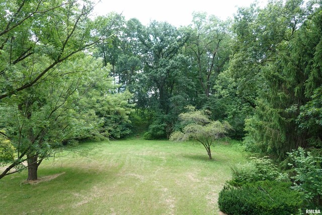 604 Knox Rd N Unit 1000, Gilson, IL 61436 - view of green lawn featuring a forest view