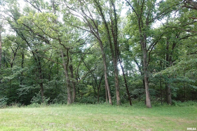 604 Knox Rd N Unit 1000, Gilson, IL 61436 - view of tree filled area