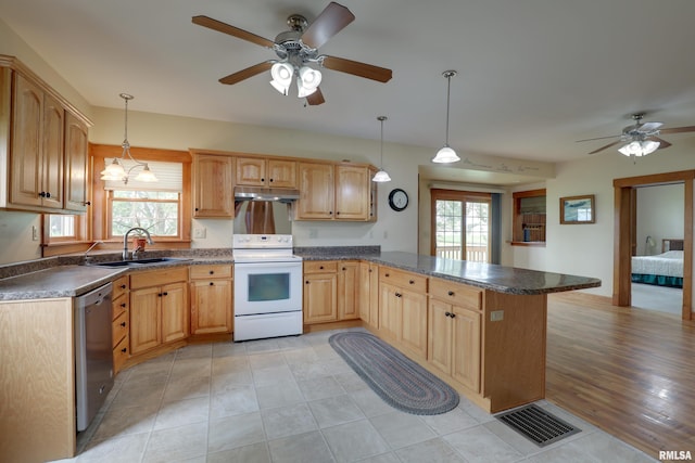 1784 N 2700th Ave, Loraine, IL 62349 - kitchen featuring white electric stove, dishwasher, a peninsula, and a ceiling fan