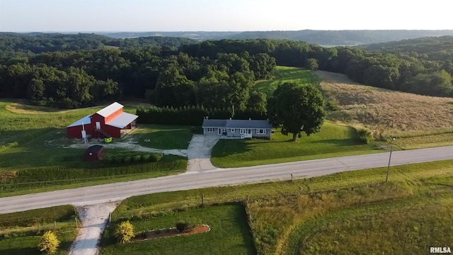 42060 County Highway 10, Nebo, IL 62355 - view of subject property with a forest