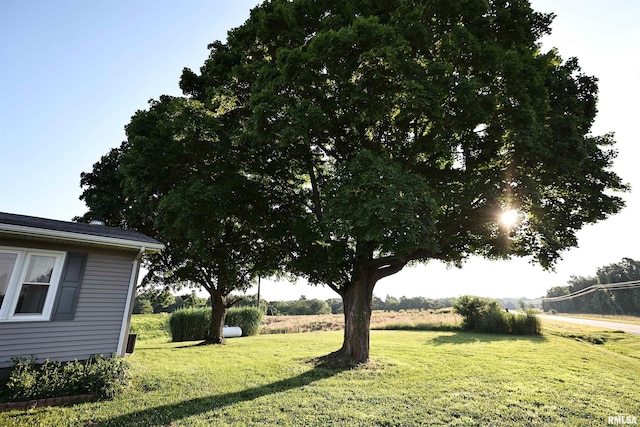 42060 County Highway 10, Nebo, IL 62355 - view of grassy yard