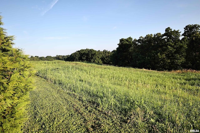 42060 County Highway 10, Nebo, IL 62355 - view of nature featuring rural landscape