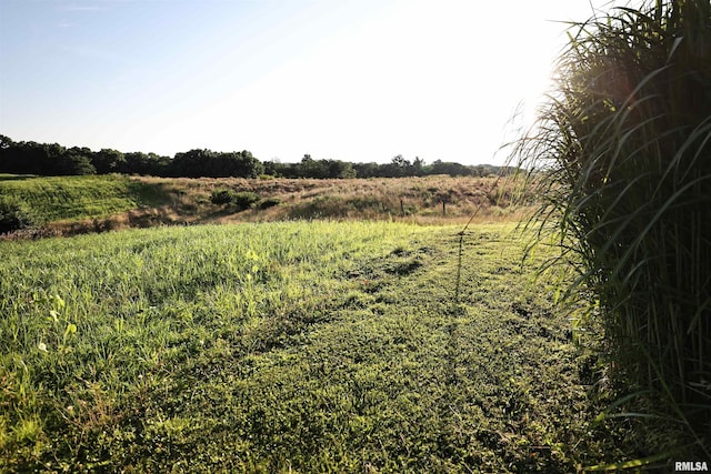 42060 County Highway 10, Nebo, IL 62355 - view of local wilderness with rural landscape