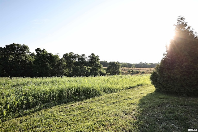 42060 County Highway 10, Nebo, IL 62355 - view of local wilderness featuring rural landscape
