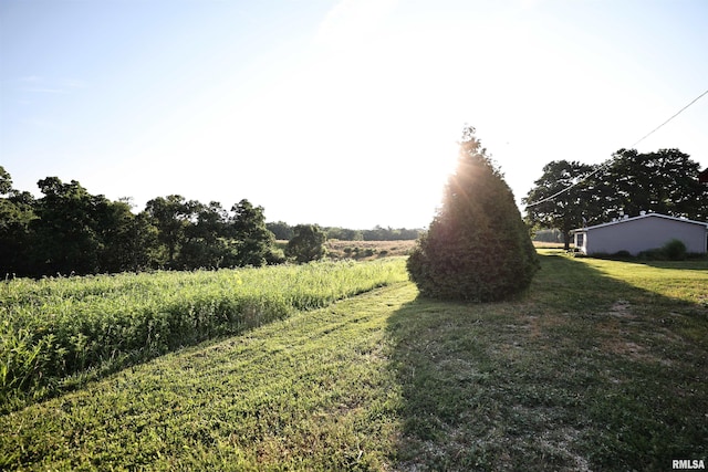 42060 County Highway 10, Nebo, IL 62355 - view of green lawn