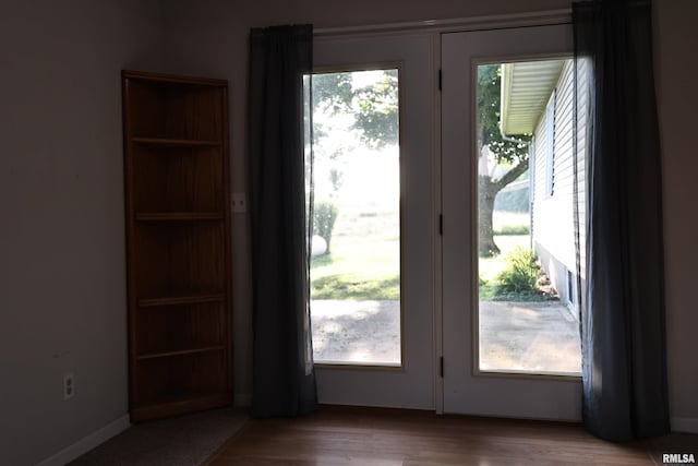 42060 County Highway 10, Nebo, IL 62355 - doorway to outside with wood finished floors