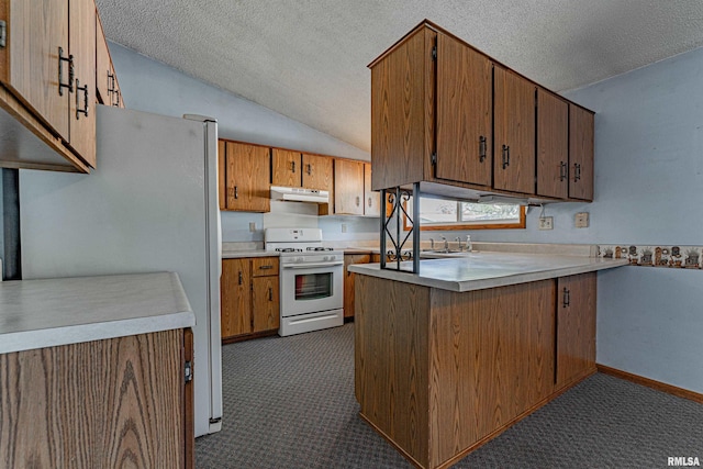 913 N Flora Dr, Mount Pulaski, IL 62548 - kitchen featuring white appliances, under cabinet range hood, lofted ceiling, a peninsula, and a textured ceiling