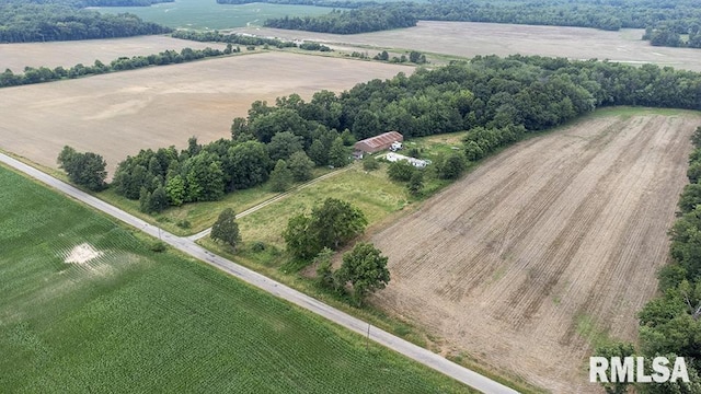 2217 Longleaf Ln, Flora, IL 62839 - photo 2