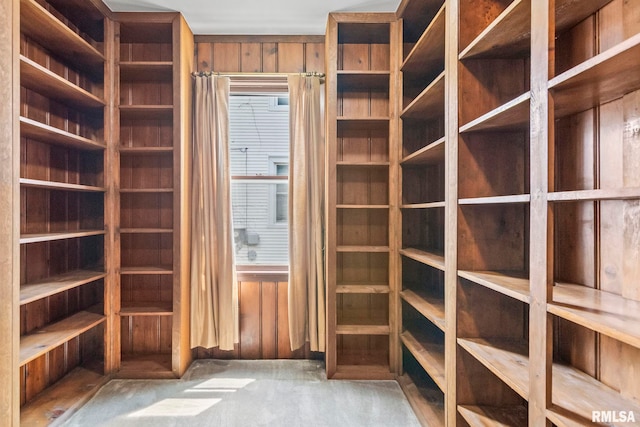 417 E Keys Ave, Springfield, IL 62702 - walk in closet featuring carpet flooring