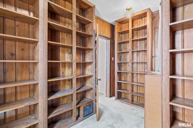 417 E Keys Ave, Springfield, IL 62702 - view of storage room