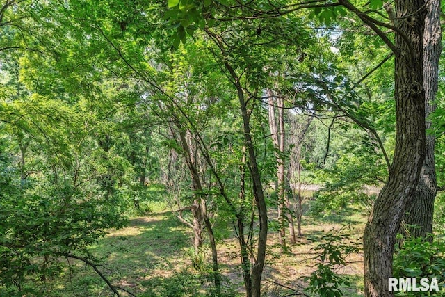 7971 Mechanicsburg Rd, Springfield, IL 62707 - view of wooded area