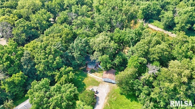7971 Mechanicsburg Rd, Springfield, IL 62707 - view of property location