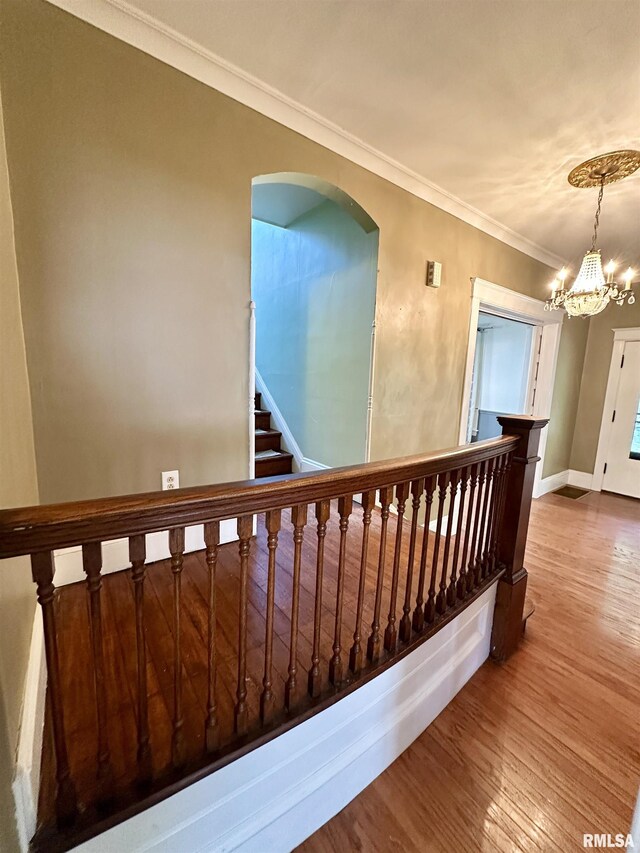 231 N Webster Ave, Jacksonville, IL 62650 - stairs featuring wood finished floors, a chandelier, crown molding, and arched walkways