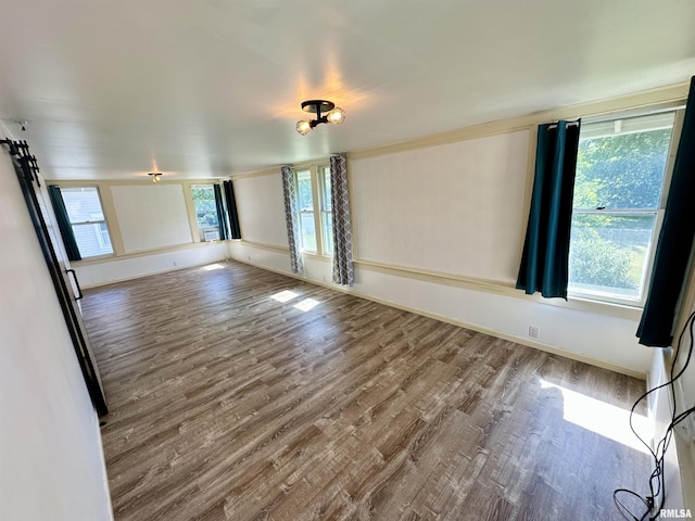 231 N Webster Ave, Jacksonville, IL 62650 - spare room with wood finished floors and plenty of natural light
