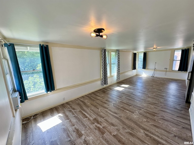 231 N Webster Ave, Jacksonville, IL 62650 - spare room featuring plenty of natural light and wood finished floors