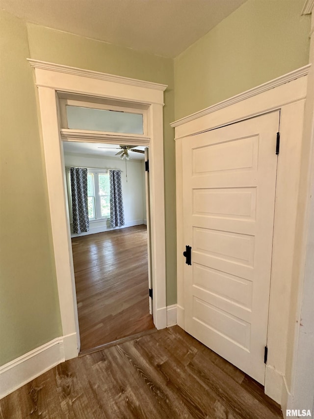 231 N Webster Ave, Jacksonville, IL 62650 - hallway featuring dark wood-style flooring and baseboards