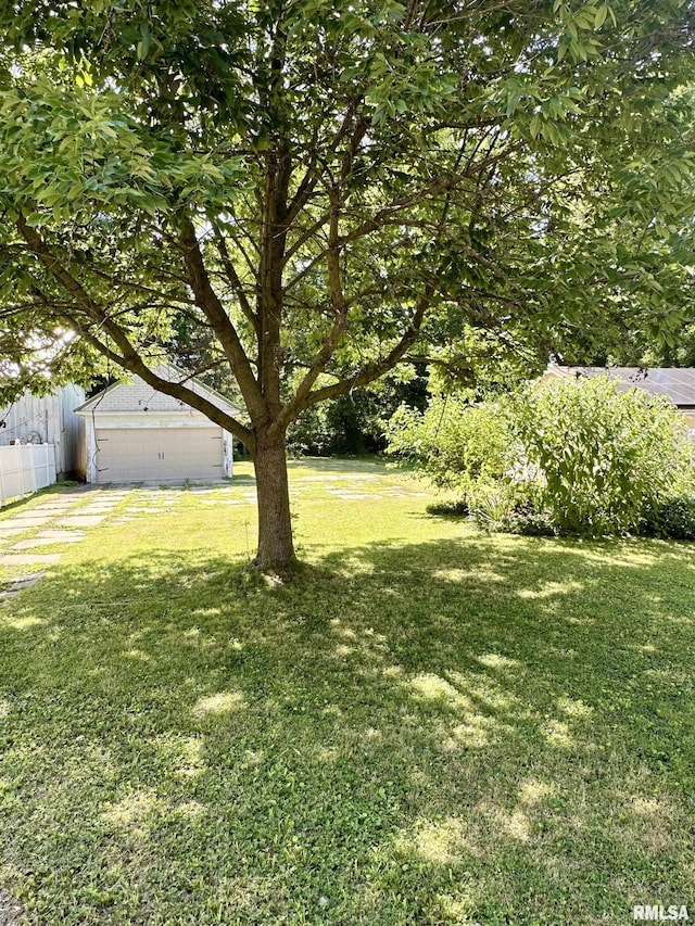 231 N Webster Ave, Jacksonville, IL 62650 - view of green lawn