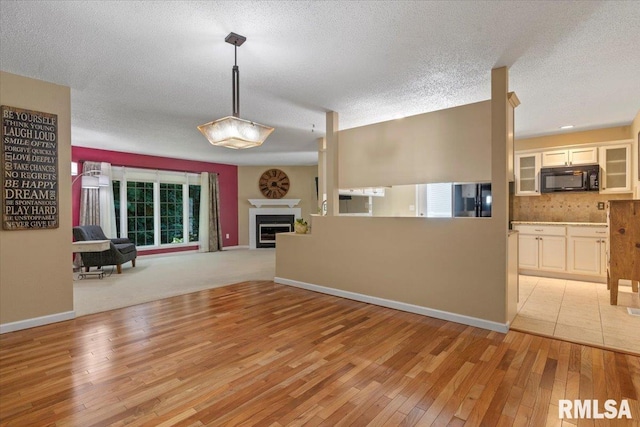 1009 Rickard Ct, Springfield, IL 62704 - unfurnished living room with light wood finished floors and a textured ceiling