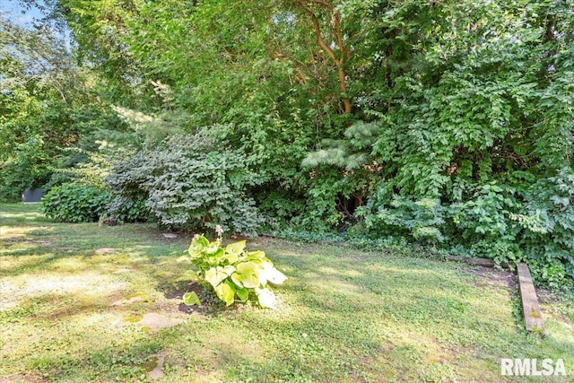 1009 Rickard Ct, Springfield, IL 62704 - view of green lawn