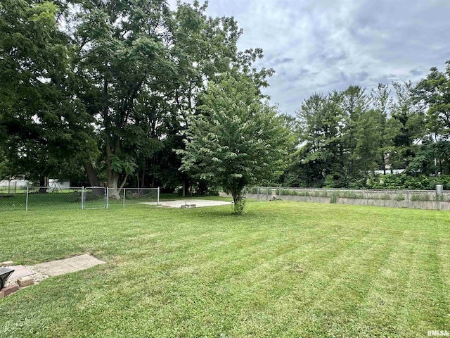 778 E Grove St, Galesburg, IL 61401 - view of yard