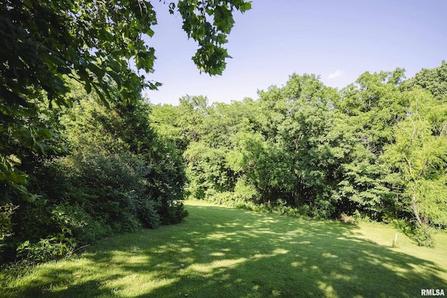 32440 Jim Town Hollow Rd, Rockport, IL 62370