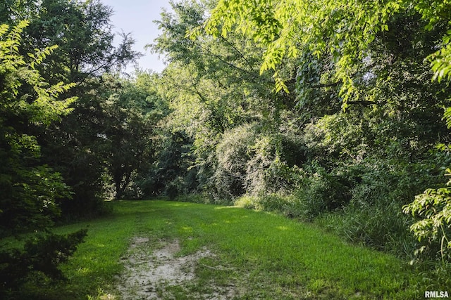 32440 Jim Town Hollow Rd, Rockport, IL 62370