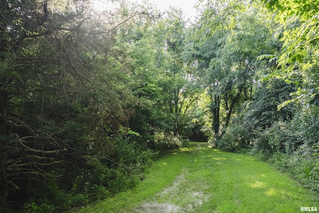 32440 Jim Town Hollow Rd, Rockport, IL 62370