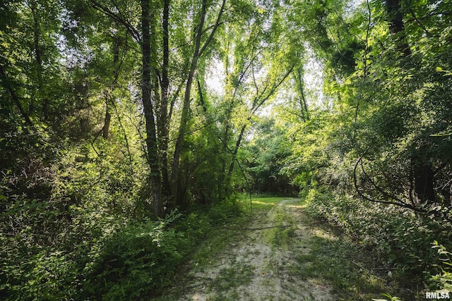 32440 Jim Town Hollow Rd, Rockport, IL 62370