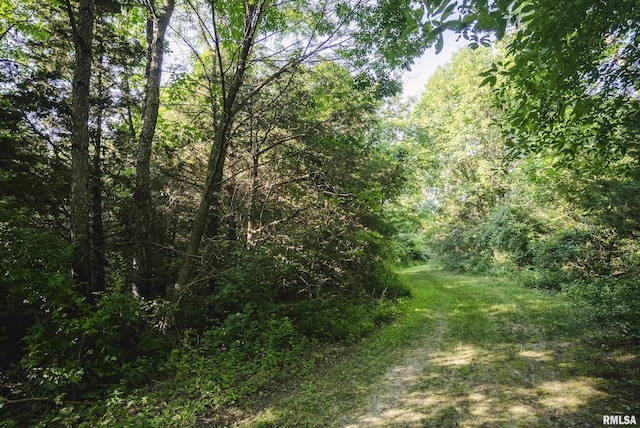 32440 Jim Town Hollow Rd, Rockport, IL 62370