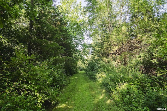 32440 Jim Town Hollow Rd, Rockport, IL 62370