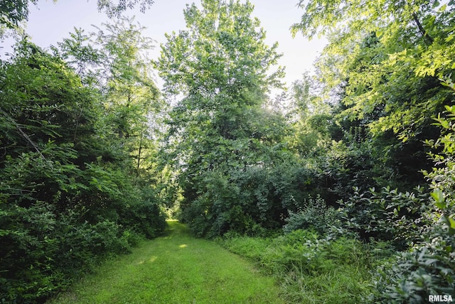 32440 Jim Town Hollow Rd, Rockport, IL 62370