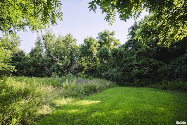32440 Jim Town Hollow Rd, Rockport, IL 62370