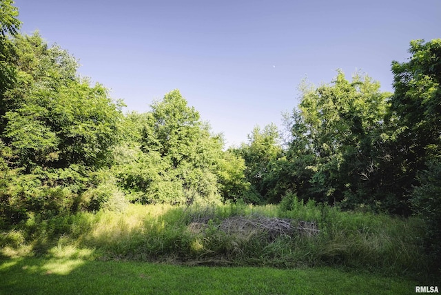 32440 Jim Town Hollow Rd, Rockport, IL 62370