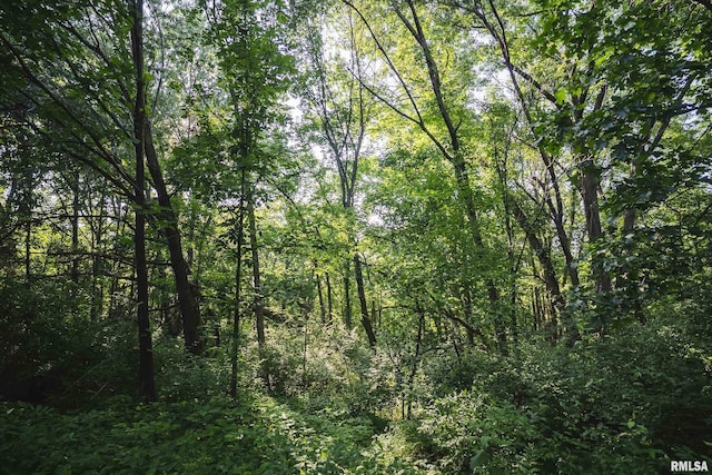 32440 Jim Town Hollow Rd, Rockport, IL 62370