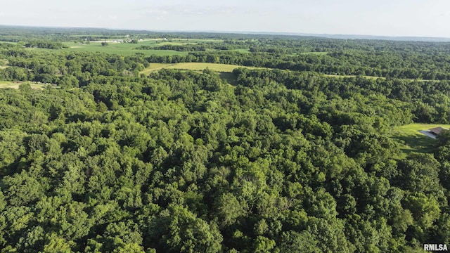 32440 Jim Town Hollow Rd, Rockport, IL 62370
