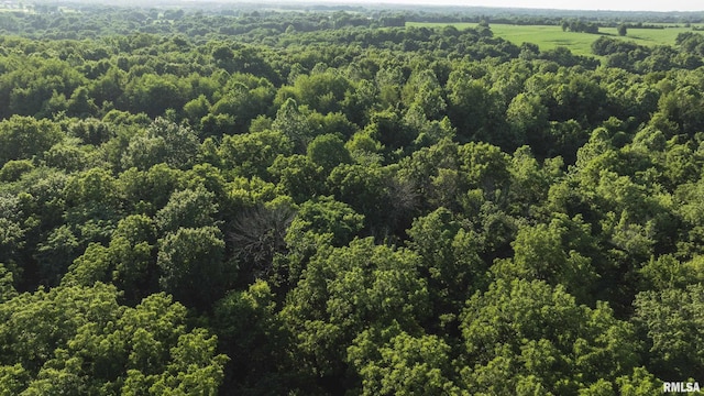 32440 Jim Town Hollow Rd, Rockport, IL 62370