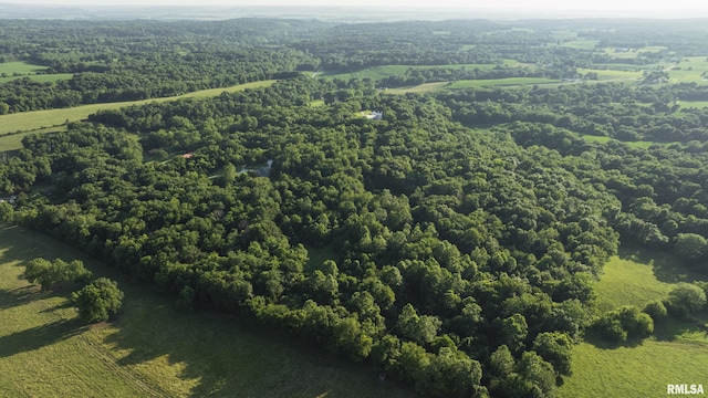 32440 Jim Town Hollow Rd, Rockport, IL 62370