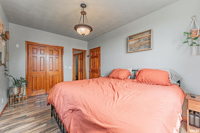 209 N 2nd St N, Easton, IL 62633 - bedroom featuring wood finished floors and a closet