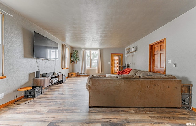 209 N 2nd St N, Easton, IL 62633 - living area featuring wood finished floors and a textured wall
