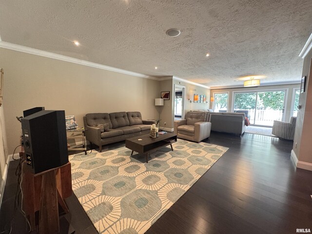 6 Ottawa Trl, Galesburg, IL 61401 - living room with crown molding, wood finished floors, recessed lighting, and a textured ceiling